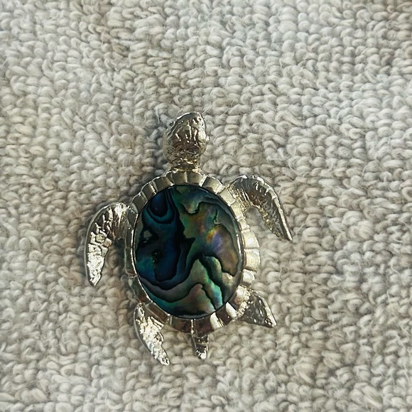 Jewelry - Turtle Brooch